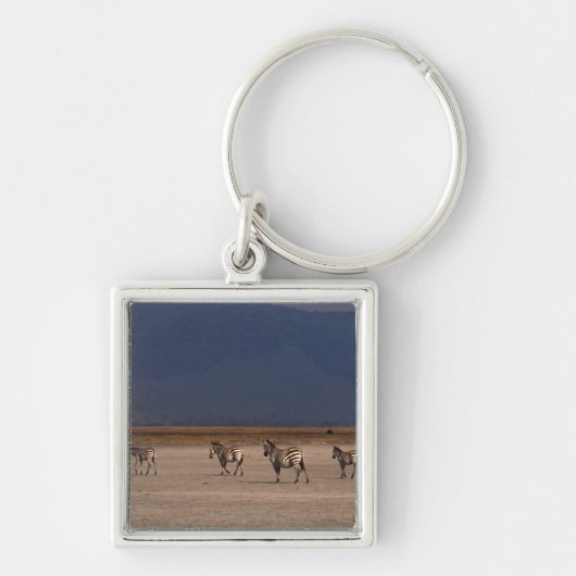 Subsidie Zebra 4 Sleutelhanger (Voorkant)