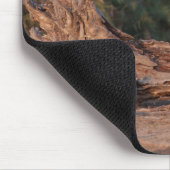 Subsidie Zebra 5 Muismat (Hoek)