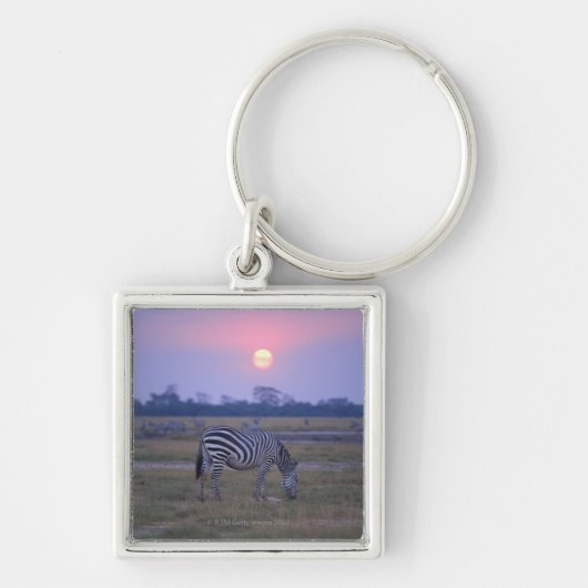 Subsidie Zebra 6 Sleutelhanger (Voorkant)