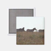 Subsidie Zebra 7 Magneet (Voorkant / Achterkant)