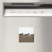 Subsidie Zebra 7 Magneet (Insitu (Vaatwasser))