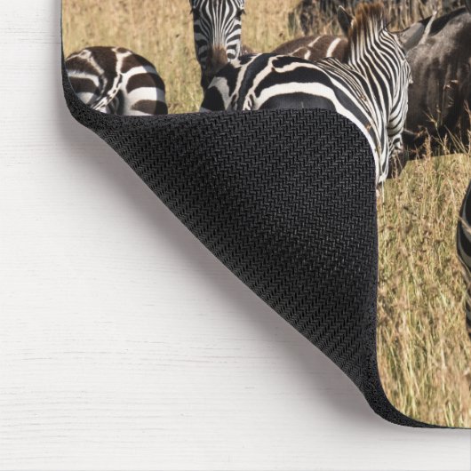 Subsidie's Zebra Muismat (Hoek)