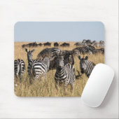 Subsidie's Zebra Muismat (Met muis)