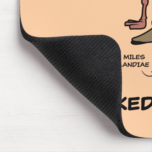 subsoort "Birdorable Mask Lapse" Muismat (Hoek)