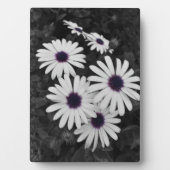 subtiel contrast van de natuur fotoplaat (voorkant)