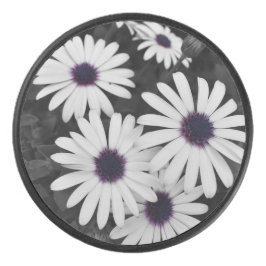 subtiel contrast van de natuur hockey puck