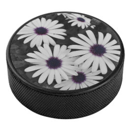 subtiel contrast van de natuur hockey puck