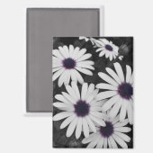 subtiel contrast van de natuur magneet (Voorkant / Achterkant)