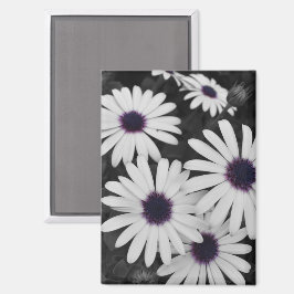 subtiel contrast van de natuur magneet