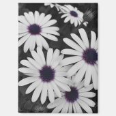 subtiel contrast van de natuur magneet (Voorkant)