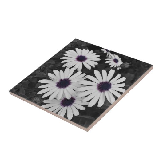 subtiel contrast van de natuur tegeltje (Zijkant)