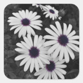 subtiel contrast van de natuur vierkante sticker (Voorkant)