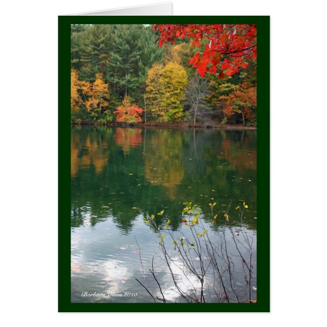 Subtiel magnetisme in de Natuur: Walden Pond (Voorkant)