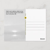 Subtiel noorderlicht, Fairbanks, AK - briefkaart (Achterkant)