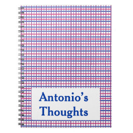 Subtiele Biseksuele Kleur Plaid Notitieboek