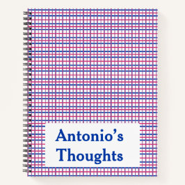 Subtiele biseksuele kleur Plaid tweezijdig Notitieboek