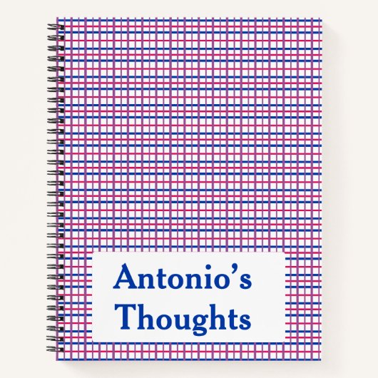 Subtiele biseksuele kleur Plaid tweezijdig Notitieboek (Voorkant)