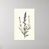 Subtiele Lavendel Sprig op Ivory Canvas (Voorkant)