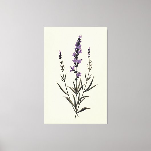 Subtiele Lavendel Sprig op Ivory Canvas Afdruk (Voorkant)