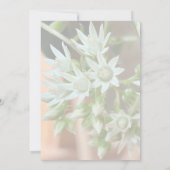 Subtiele succulente bloemige achtergrond Vrijgezel Kaart (Achterkant)