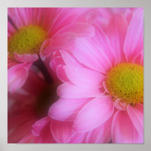 subtiele wegen poster (Voorkant)