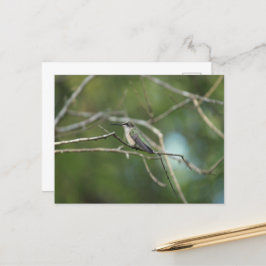Subtle Beauty Briefkaart