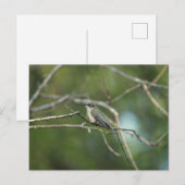 Subtle Beauty Briefkaart (Voorkant / Achterkant)