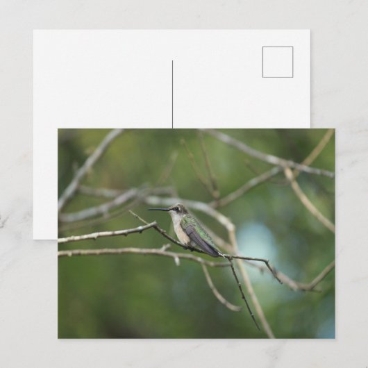 Subtle Beauty Briefkaart (Voorkant / Achterkant)