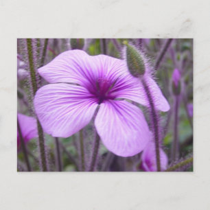 Subtle Paars Briefkaart