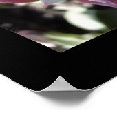 Subtle Succulents Poster (Hoek)