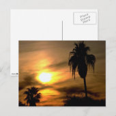 Subtropische zonsondergang briefkaart (Voorkant / Achterkant)