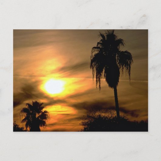 Subtropische zonsondergang briefkaart (Voorkant)