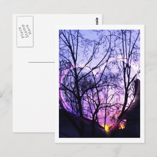 Suburb in Zuid-Californië Briefkaart (Voorkant / Achterkant)