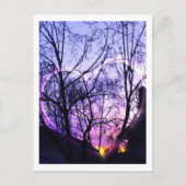 Suburb in Zuid-Californië Briefkaart (Voorkant)