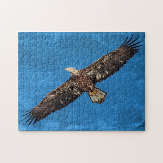 Subvolwassene Bald Eagle tijdens de vlucht Legpuzzel (Horizontaal)