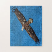 Subvolwassene Bald Eagle tijdens de vlucht Legpuzzel (Verticaal)
