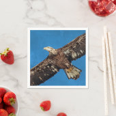 Subvolwassene Bald Eagle tijdens de vlucht Servetten (Insitu)