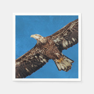 Subvolwassene Bald Eagle tijdens de vlucht Servetten