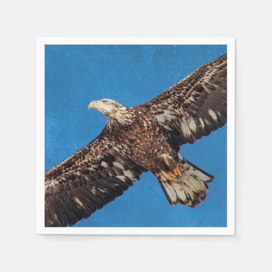 Subvolwassene Bald Eagle tijdens de vlucht Servetten (Voorkant)