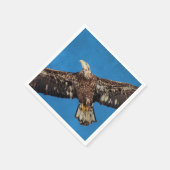 Subvolwassene Bald Eagle tijdens de vlucht Servetten (Hoek)