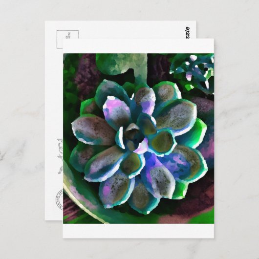 Succes Briefkaart (Voorkant / Achterkant)