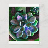 Succes Briefkaart (Voorkant)