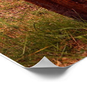 Succes - Groot door TDGallery Poster (Hoek)