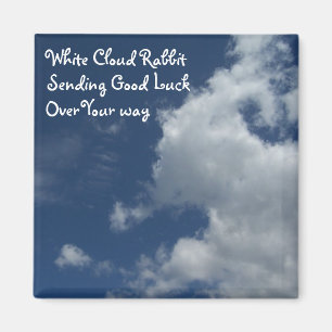 Succes in Rabbit cloud Magneet