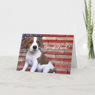 Succes Jack Russell Terrier kaart
