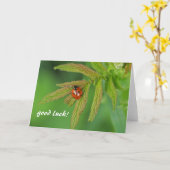succes kaart (Gele Bloem)