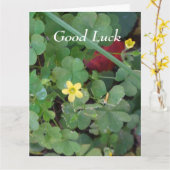 Succes Klaver voor Vriend - Groot Wenskaart Kaart (Gele Bloem)