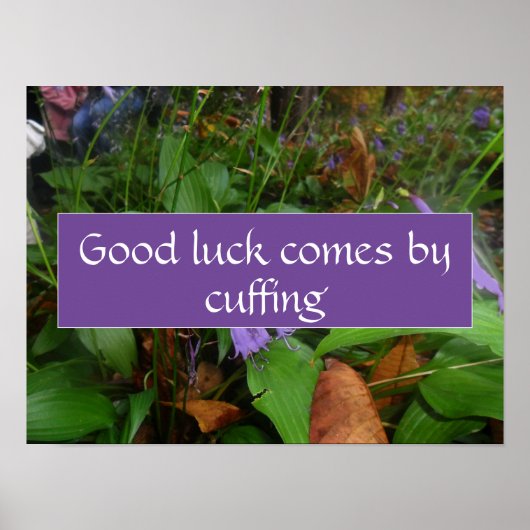 Succes komt door gezegde foto poster te maken (Voorkant)