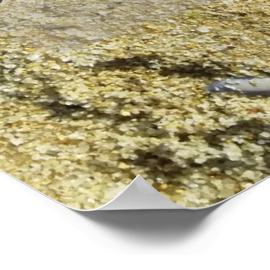 Succes komt door het poster van de notering te sno (Hoek)