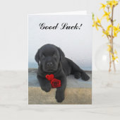 Succes labrador puppy kaart (Gele Bloem)